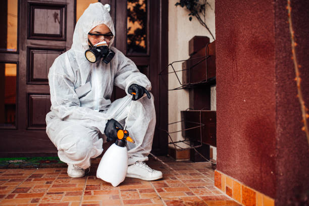 Reliable Wasp Removal contractor in Vernal, UT by Show Me Pest Control